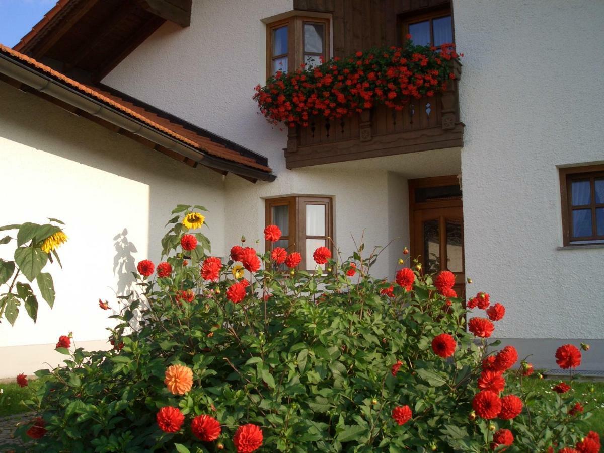 Ferienwohnungen Pichler Hohenau 外观 照片