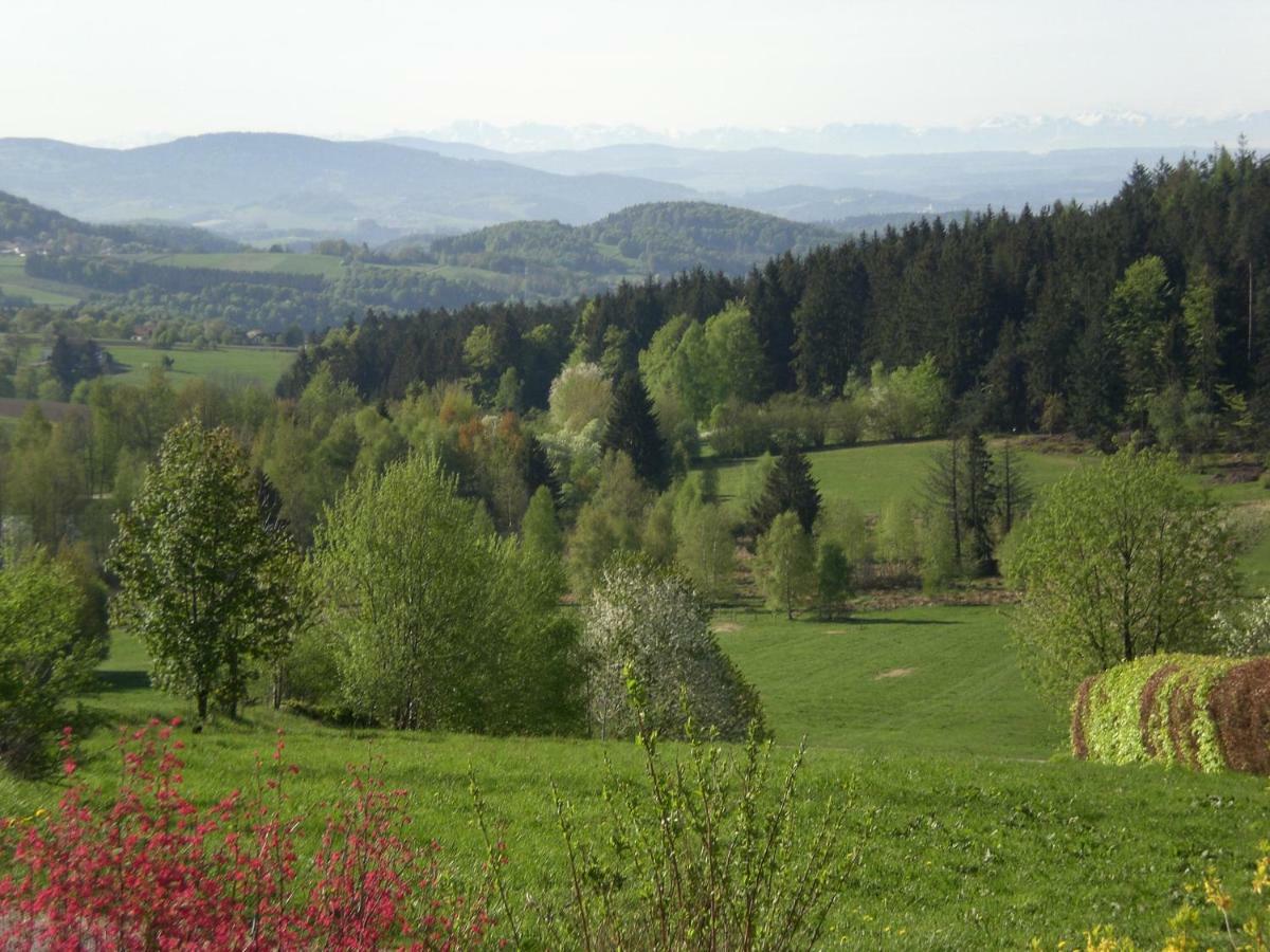 Ferienwohnungen Pichler Hohenau 外观 照片